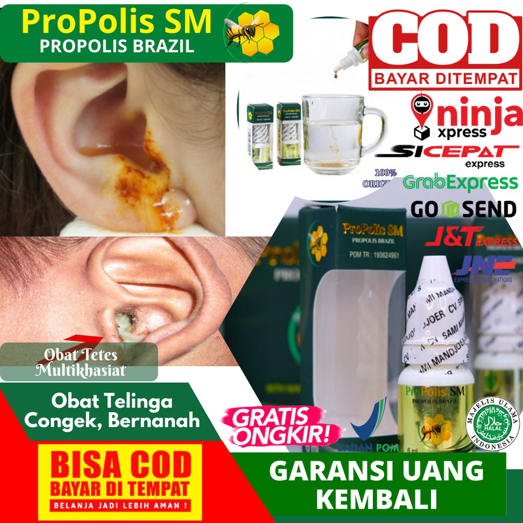 Obat Telinga Congek Anak & Dewasa, Telinga Bernanah - Obat Tetes Telinga Propolis SM Brazil Asli
