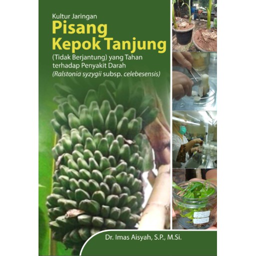 Buku Kultur Jaringan Pisang Kepok Tanjung