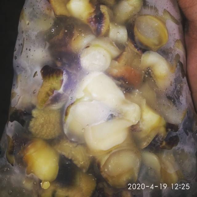 

Mata lembu fresh Frozen 2kg