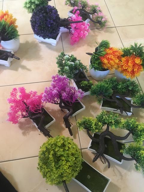[1kg 11pcs] Pot Tanaman Vas Bunga Varian Pt01-pt04 Dekorasi Rumah Tanaman Plastik Hias Import