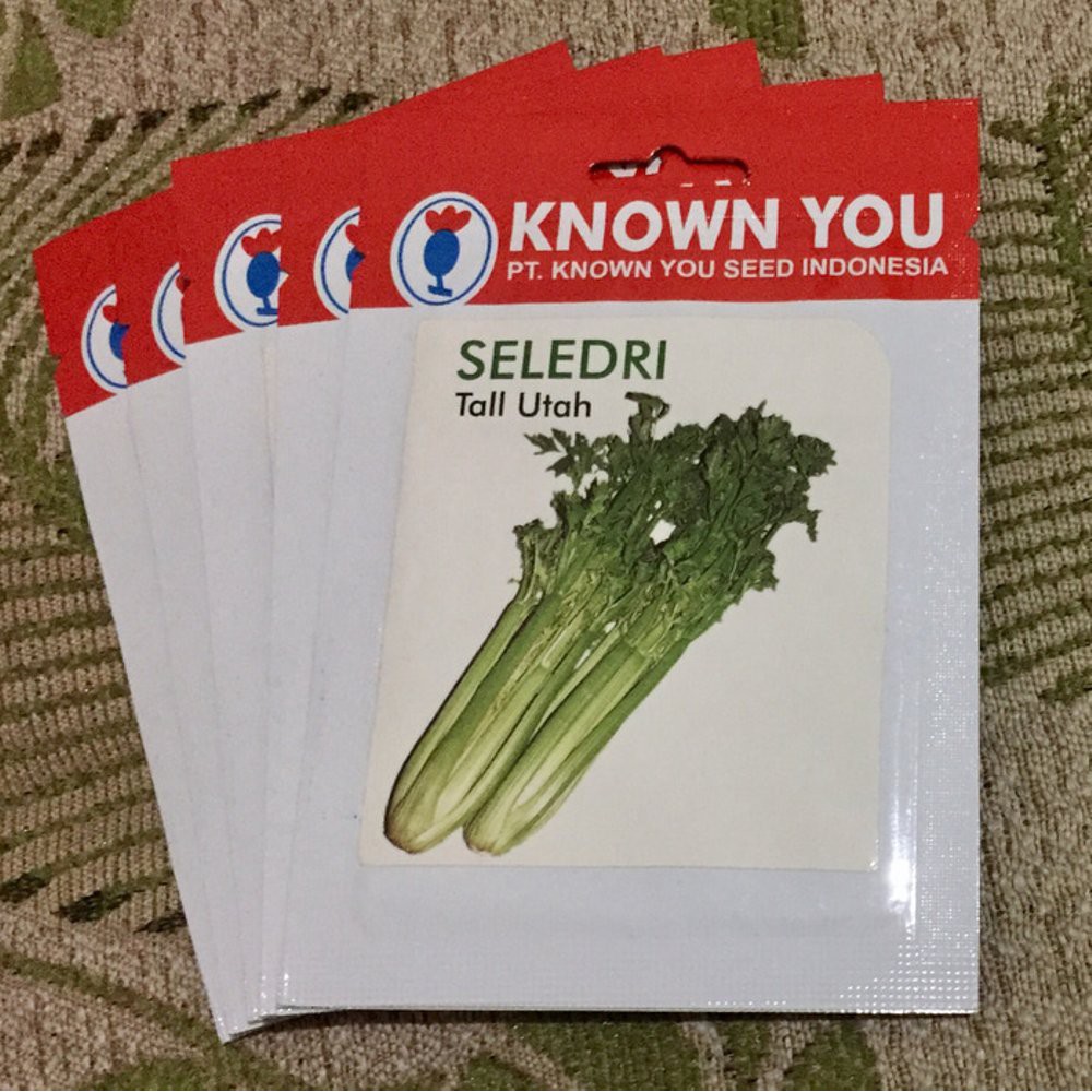 Benih Seledri Western Besar Tall Utah Known You Seed Kemasan asl