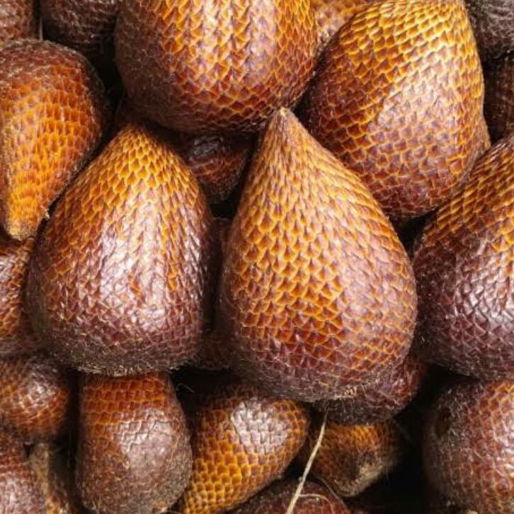 

Shopee 3.15 Salak pondoh banjarnegara fress #Shopeehaul