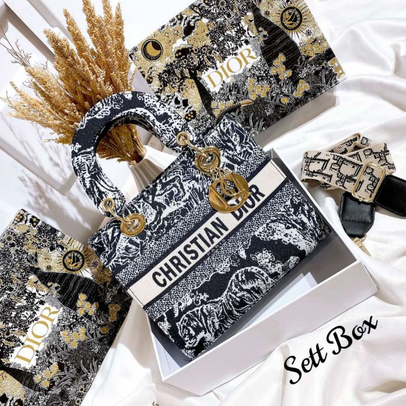 Handbag Dior Small/Slingbag Dior Small/FashionBag Dior