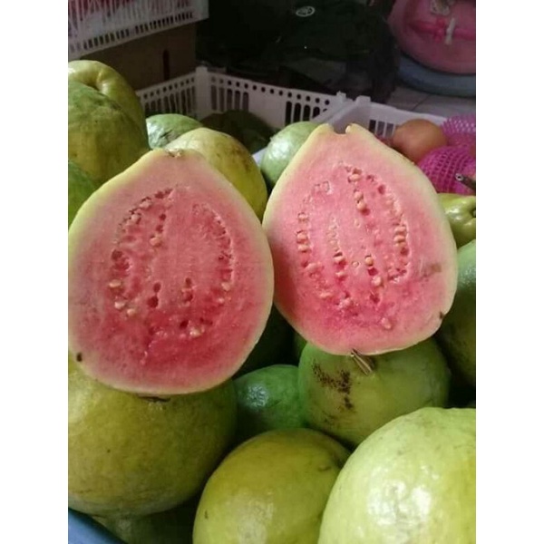 

jambu