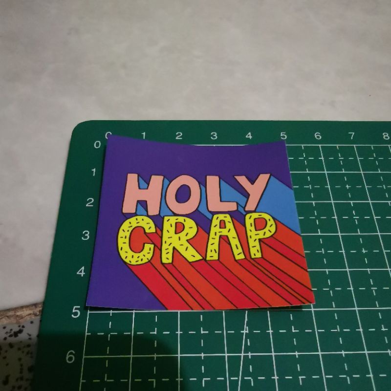 

Holy Crap Sticker Stiker