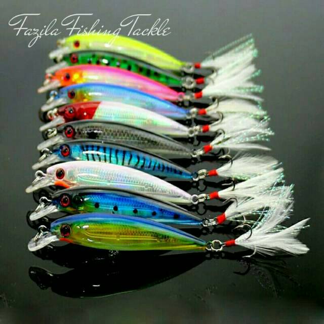 Minnow Fishing Lure