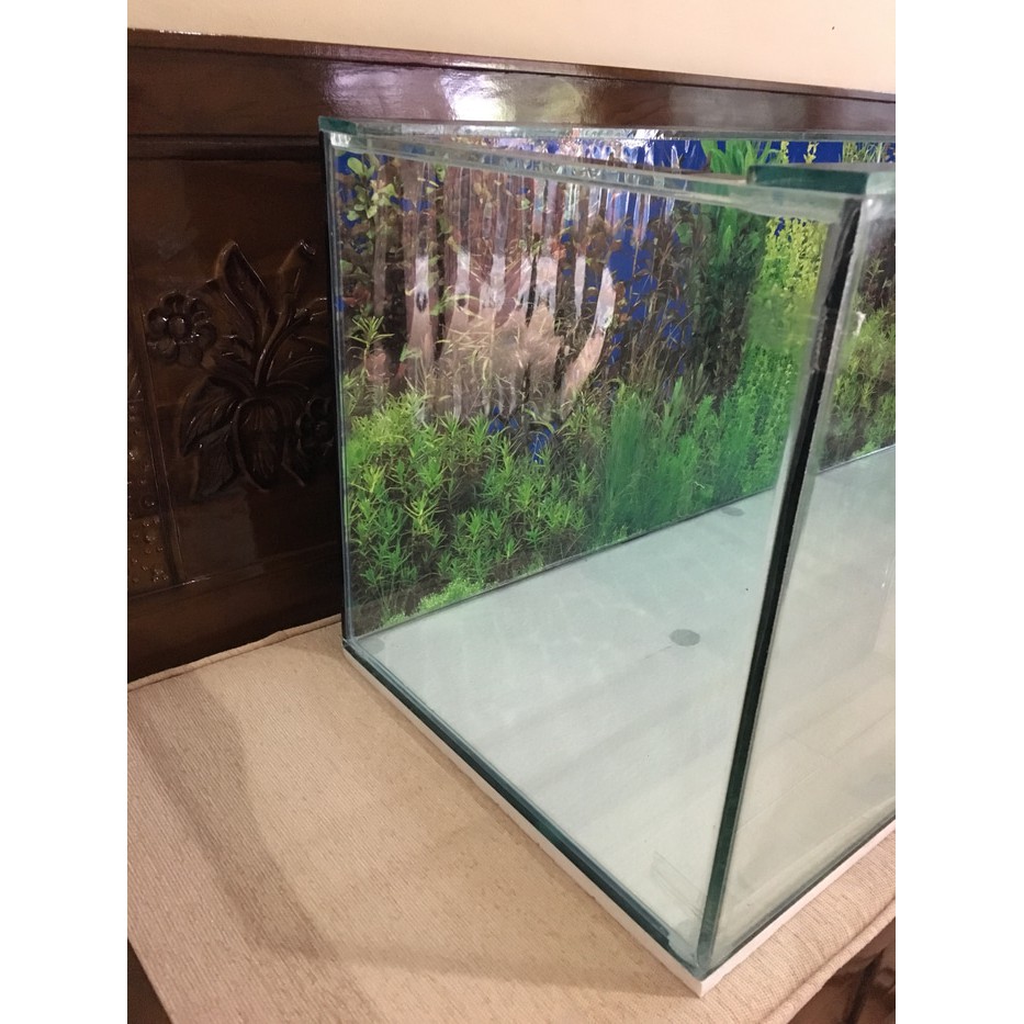 Ikan Akuarium Aquarium Custom Ukuran 100x40x40 Cm 100 X 40 X 40