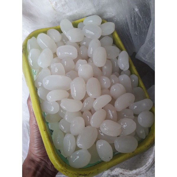 

Kolang kaling organik