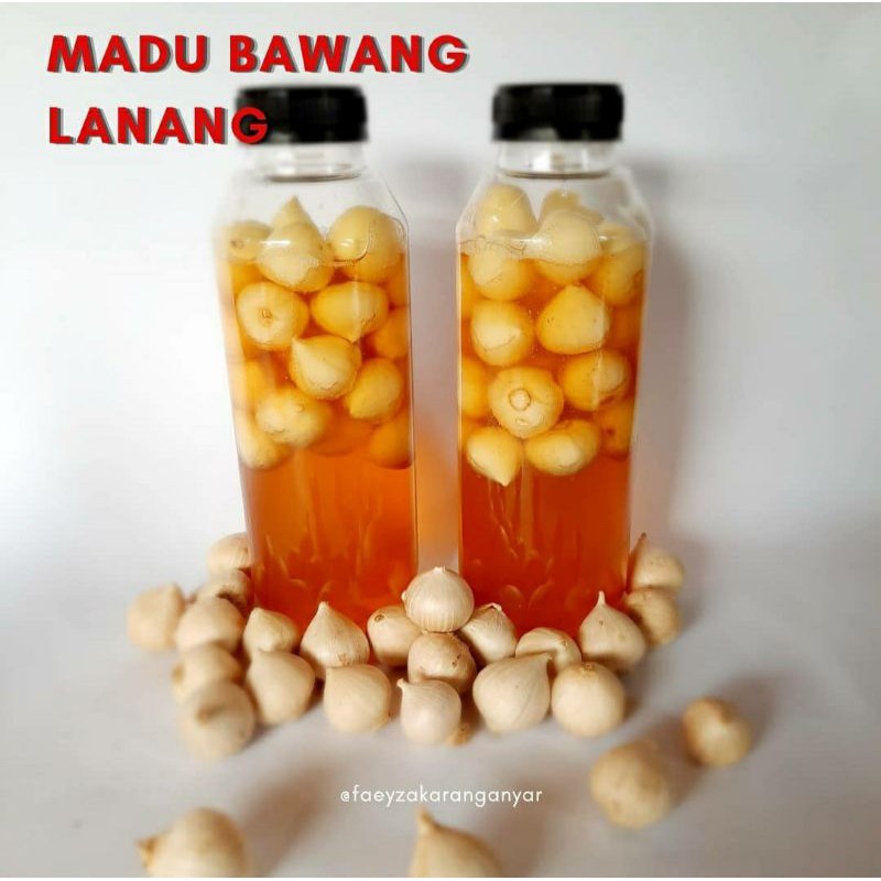 

Madu Bawang Tunggal Lanang