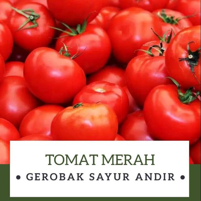 

Tomat Merah /500gr