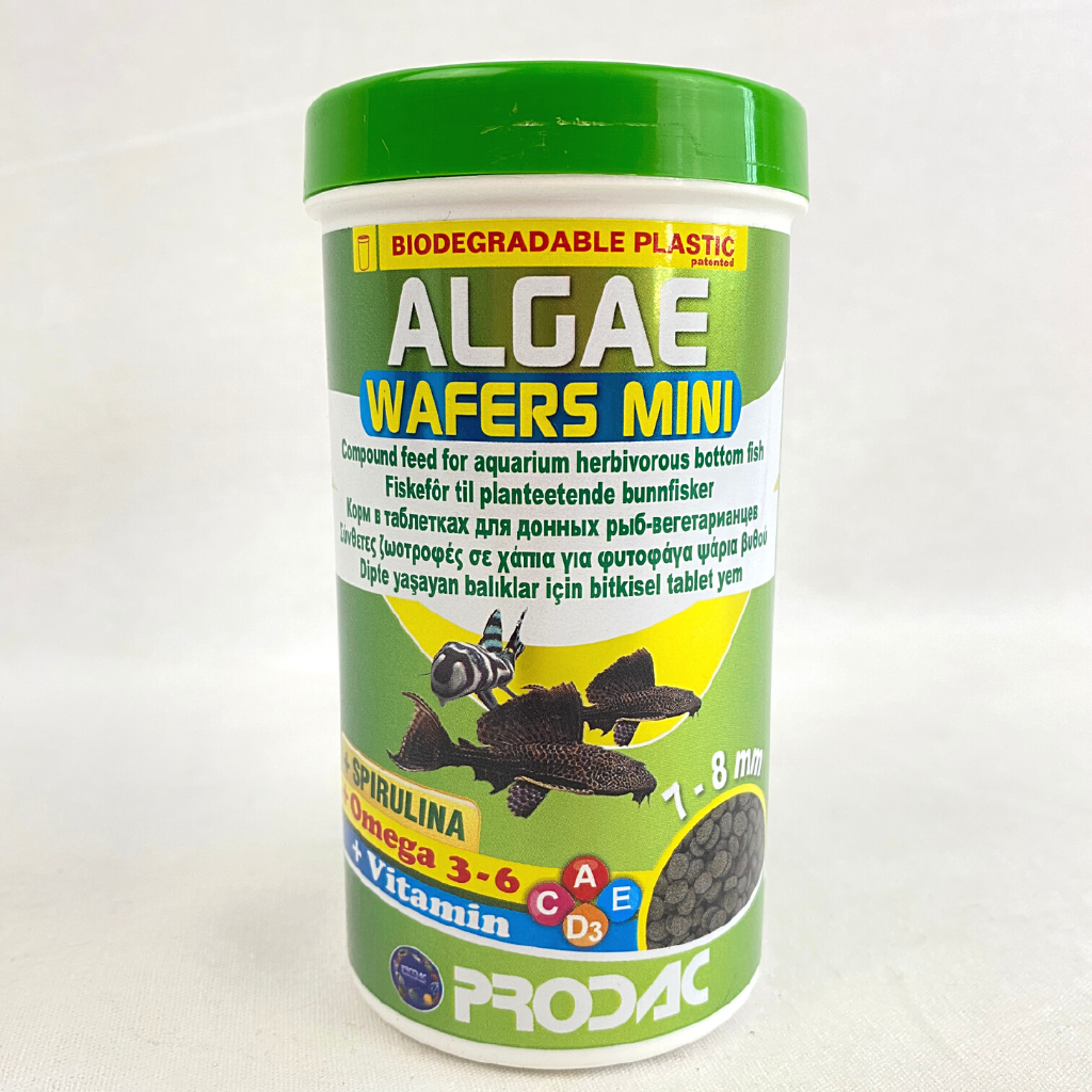 

PRODAC Makanan Ikan Hias ALGAE Wafer Mini 135g