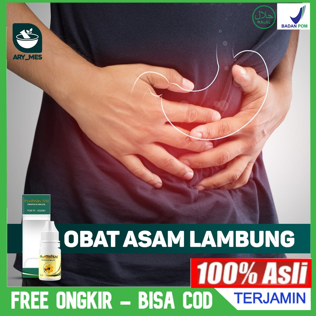 

Obat Asam Lambung - Maag - Tinggi - Akut - Kronis - GERD - Infeksi Radang Lambung Propolis SM Alami
