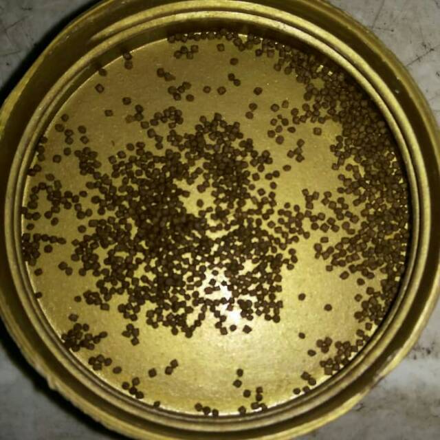 Pelet Ikan Hias Aquascape 100Gram