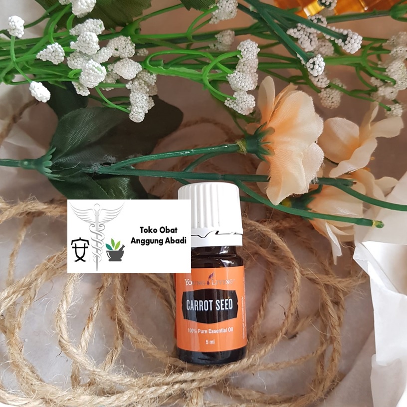 YL Minyak Esensial / Essential Oil Carrot Seed 5ML SEGEL