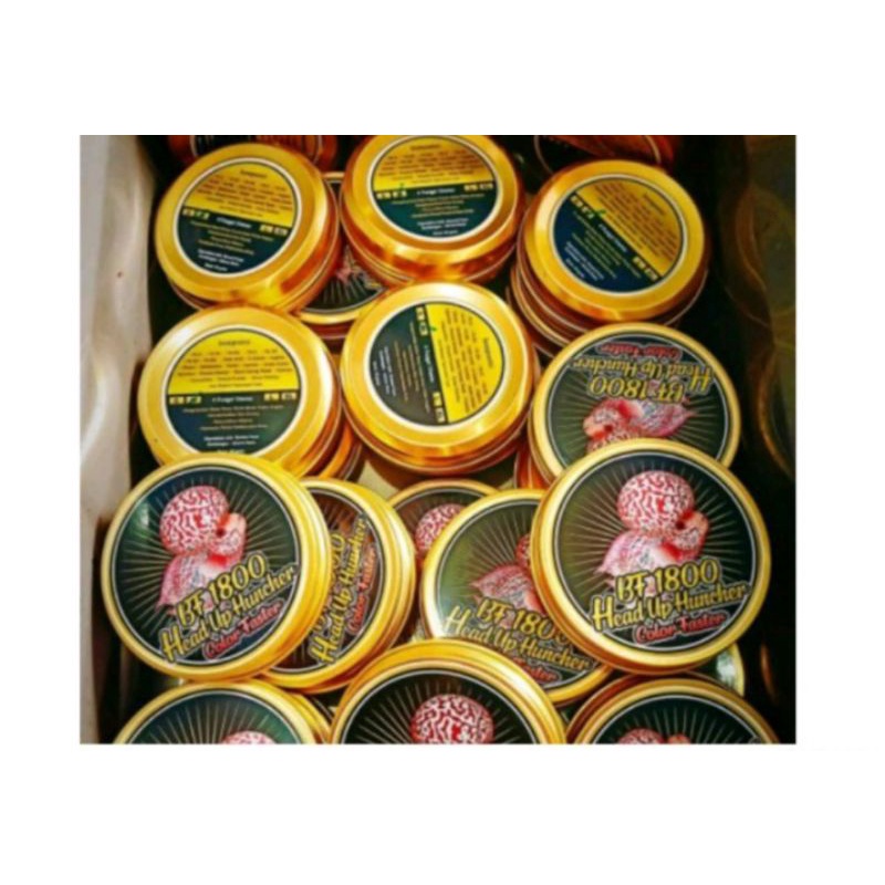 Pelet louhan, pakan louhan BF 800, pakan lohan untuk menor