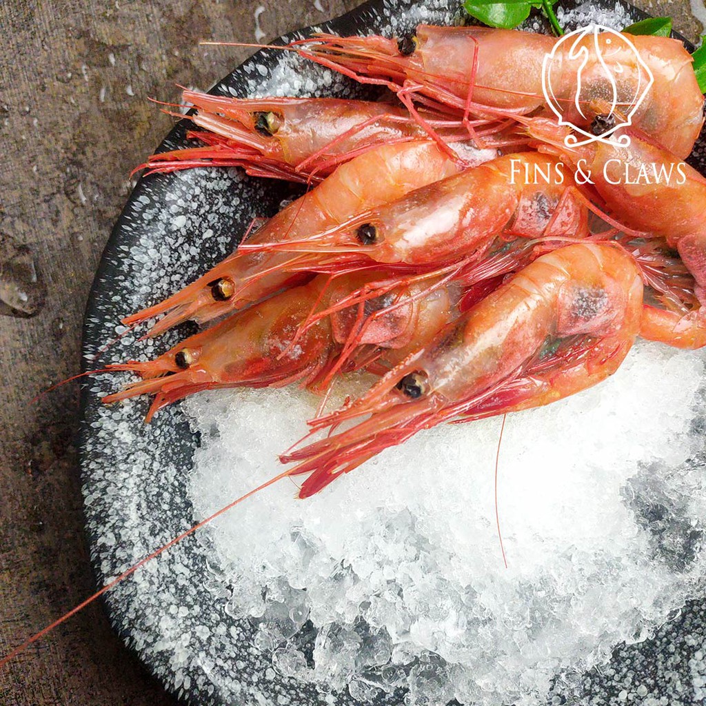 

Japanese Spot Prawn - Ama Ebi