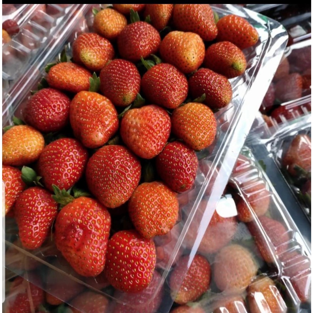 

strawberry GRADE B organik fresh 500gr / strawberry premium /strawberry segar