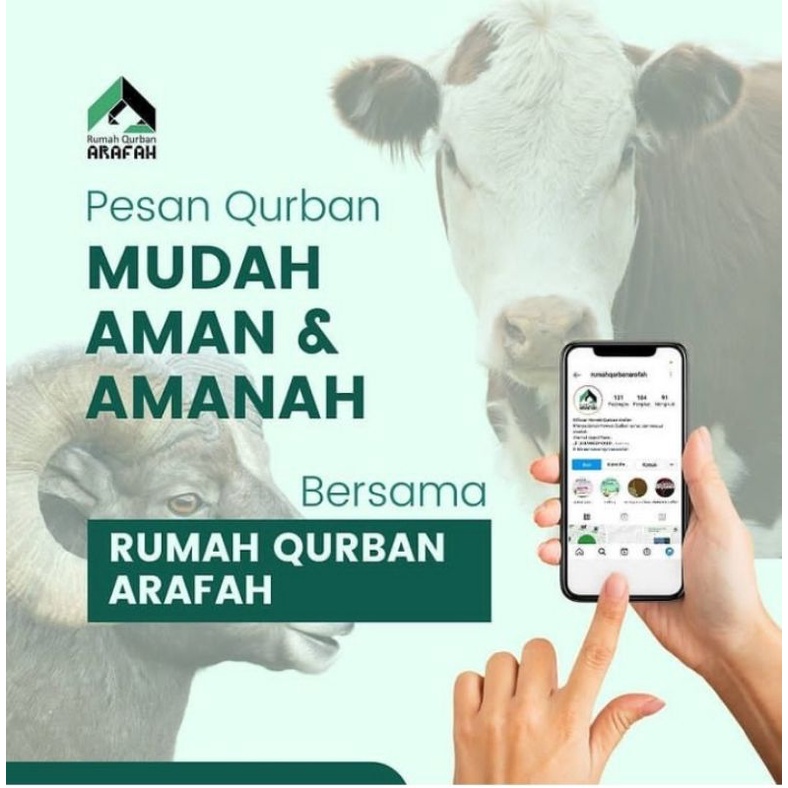 Hewan Qurban sapi , Hewan Kurban online, Hewan Kurban di Bandung