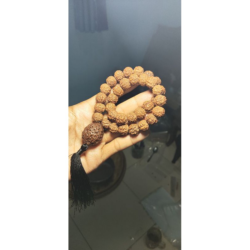 rudraksha 33 original