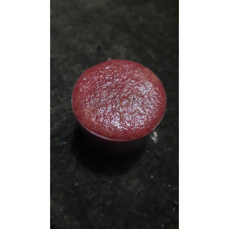 Jual kutu air Jogja jual kutir Jogja jual kutu air Yogyakarta jual kutir Yogyakarta jual kutir yogya