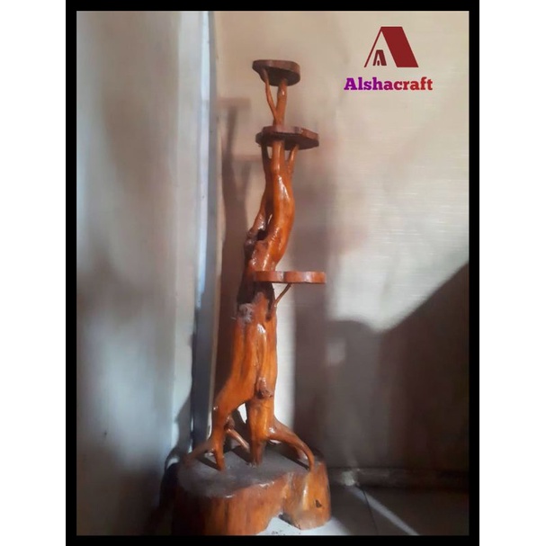 Rak pot akar Rak Akar kayu kopi Rak tanaman akar Rak tanaman Kayu