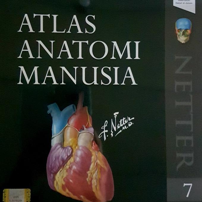 

[ ORIGINAL ] Atlas Anatomi Manusia Edisi 7 - Frank H Netter