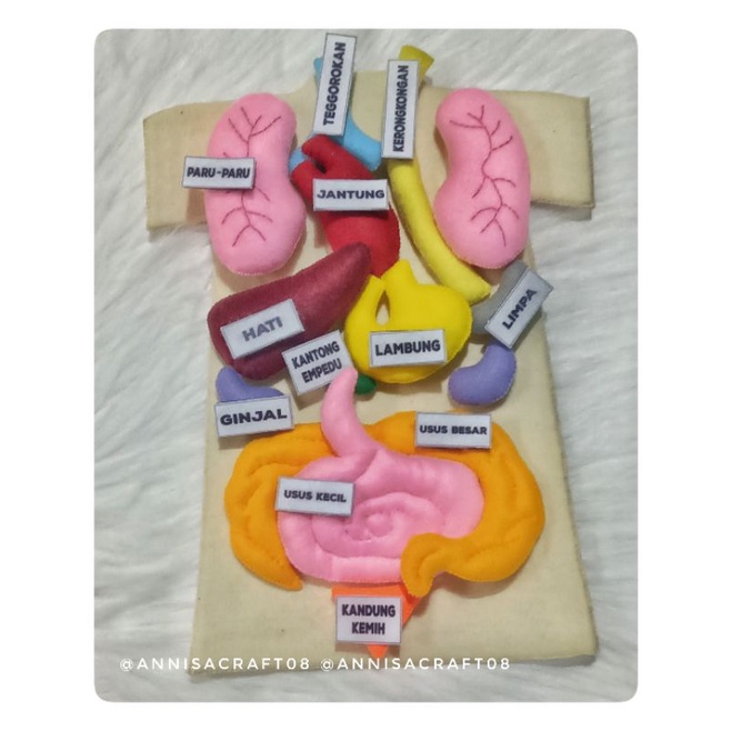 MAINAN ORGAN TUBUH FLANEL / MAINAN EDUKASI / MAINAN EDUKASI FLANEL / FELT TOYS /ALAT PERAGA EDUKASI