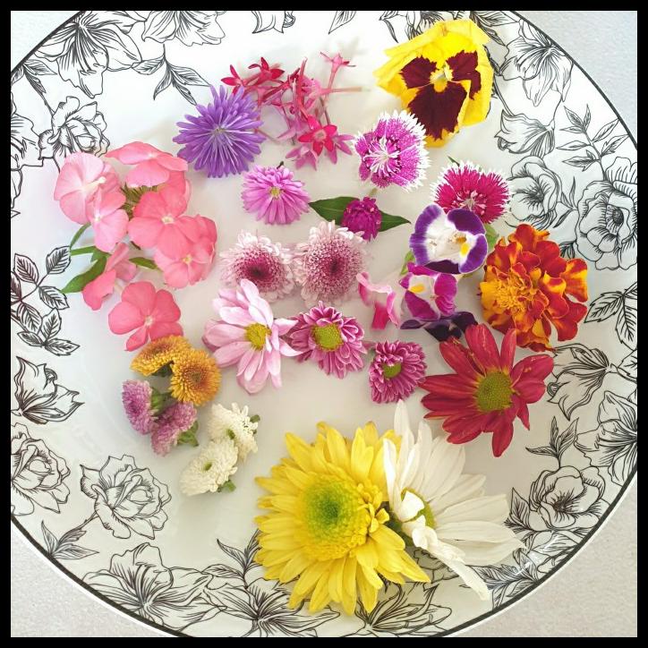 

TERBARUU!! Mix EDIBLE FLOWER Fresh Flowers bunga topping makanan (10 gram) SALE