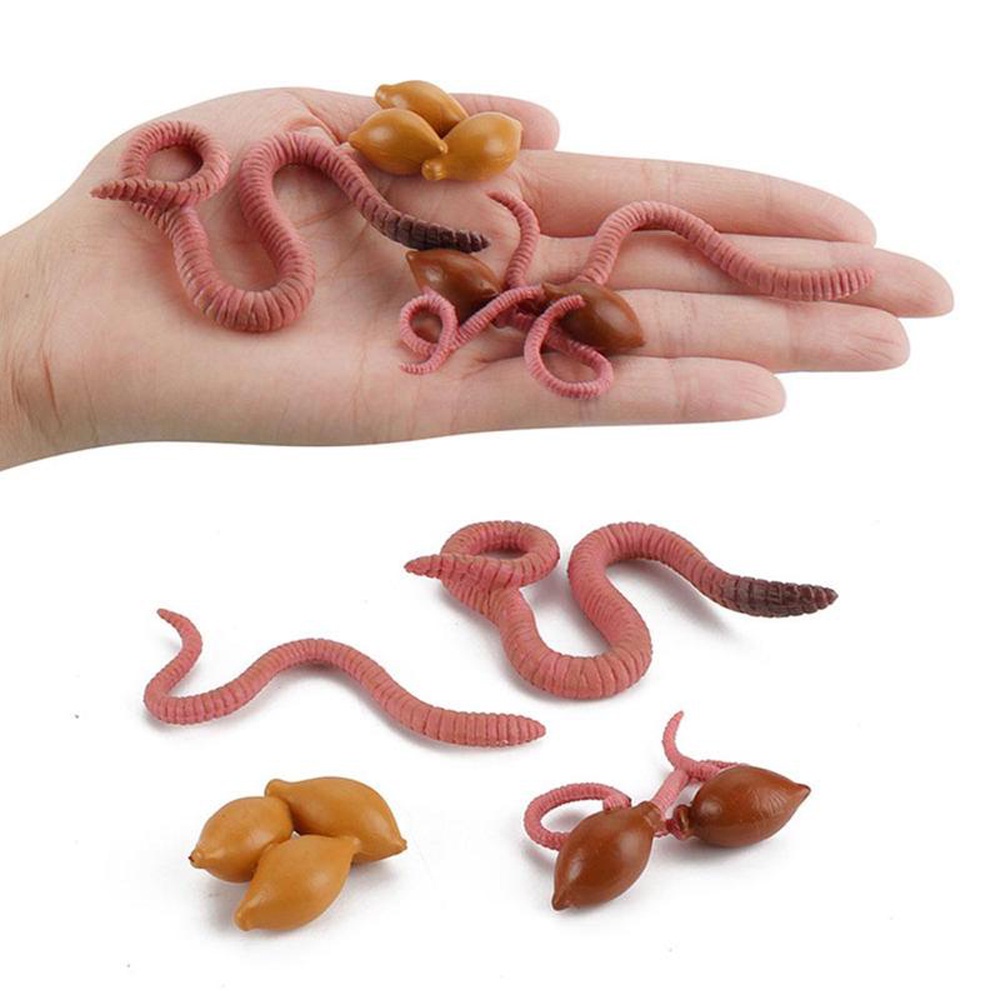 QUINTON Sea Life Salmon Kids Gifts Octopus Realistic Life Cycle Earthworm Simulation Insect Collect Science Plastic Animals Figurines Growth Cycle Model