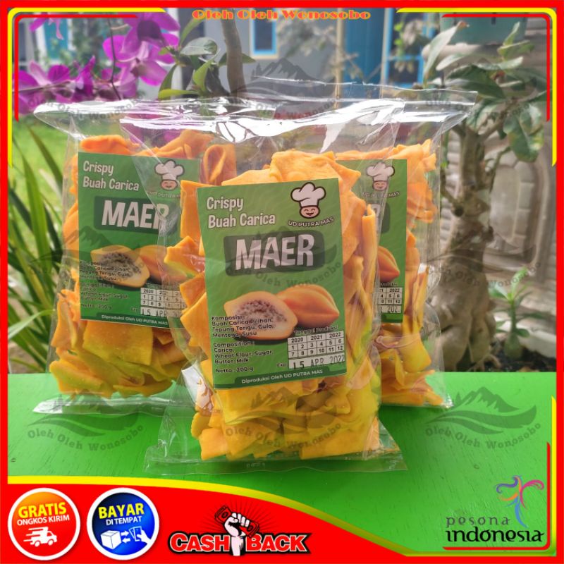 

KERIPIK BUAH CARICA NAGA ANGGUR APEL KHAS WONOSOBO