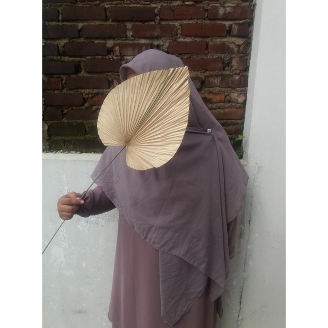 bisa cod daun palem kering / dried flower / bunga kering (25x30)