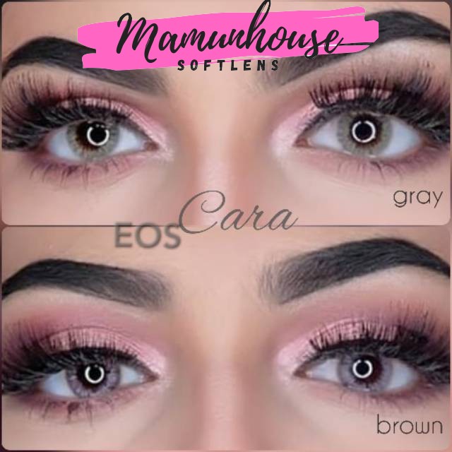 ORIGINAL Softlens Eos CARA GRAY BROWN soflens softlenses