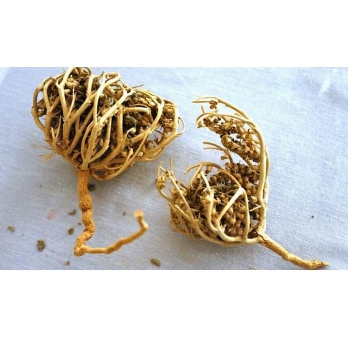 

(F-IAW ㊛}) HERBAL PELANCAR PERSALINAN RUMPUT FATIMAH SANGAT BAGUS BUAT IBU HAMIL JUGA, ORIGINAL ARAB SAUDI||paling laris