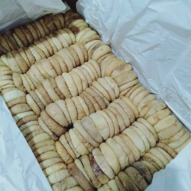 

Buah tin original buah tin jumbo buah tin segar