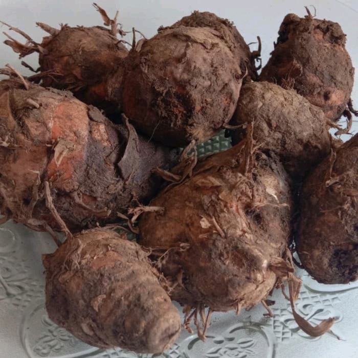 

KEPALA KUNYIT - 500gr