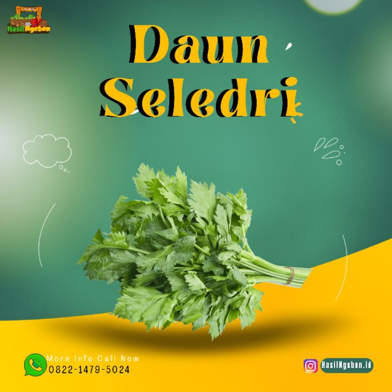 

DAUN SELEDRI 250GR