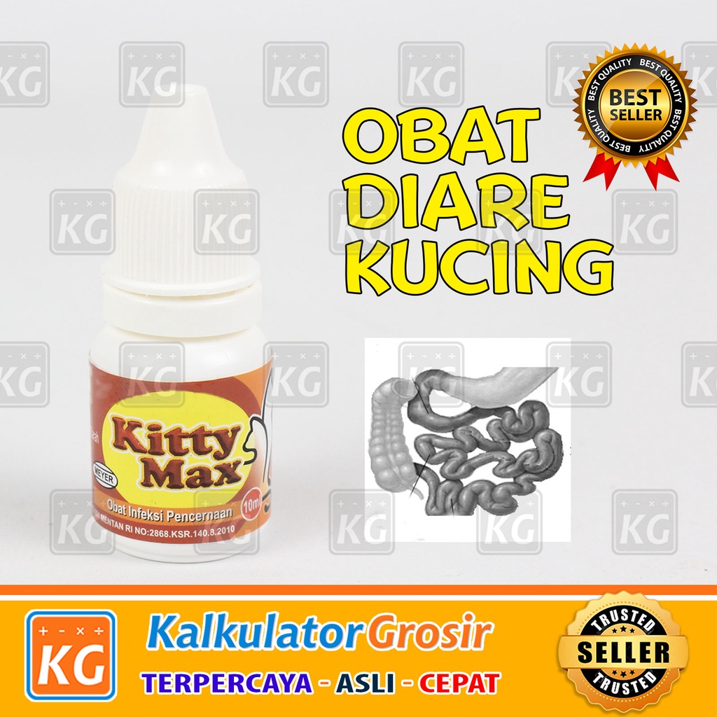 Kitty Max Obat Diare Kucing Anjing / Kitten Puppy / Obat Mencret / Pet Diarrhea 10ml