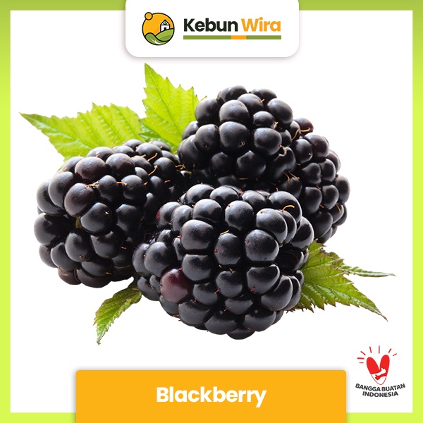 

Blackberry | Blackberries Pack 125gr