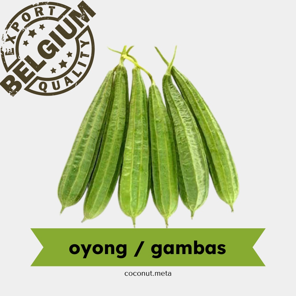 

Oyong 250gr / Gambas by Coconut Meta