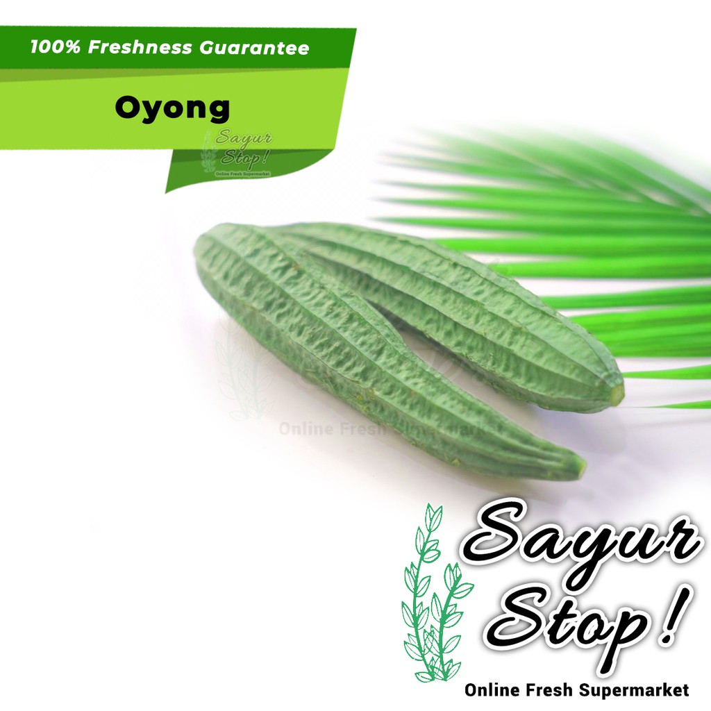 

Sayur Stop Oyong 500 gram