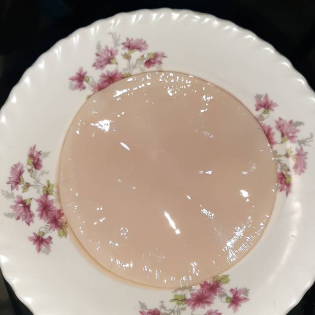 

Bibit Jamur Kombucha
