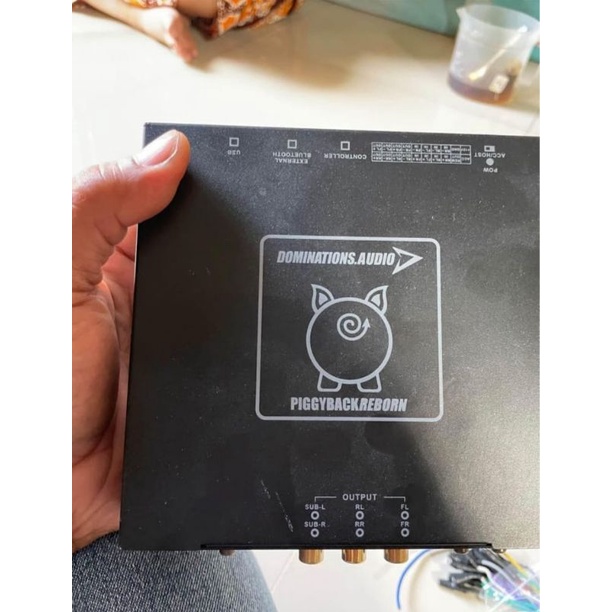 DSP Piggyback Domination