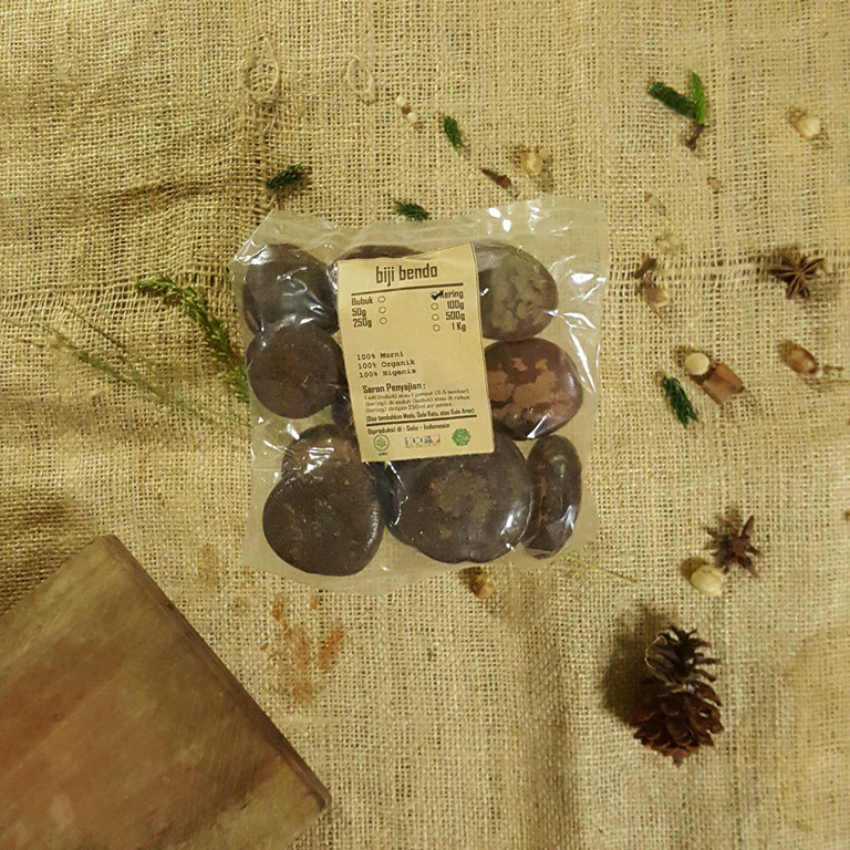 

BIJI BENDO 500 GRAM - Artocarpus elasticus - MURNI - JSR - REMPAH