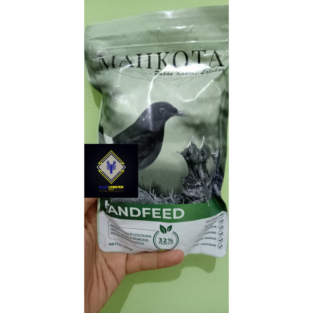 (Recomended) Mahkota lolohan murai, kacer, cucak ijo, trotol sehat, kuat, bulu mengkilat