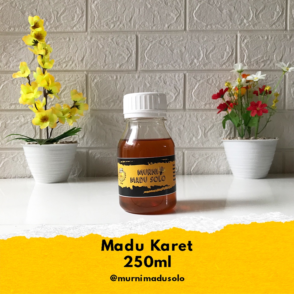 

Madu Asli Karet 250 mL | Jual Madu Asli Langsung dari Pembudidaya
