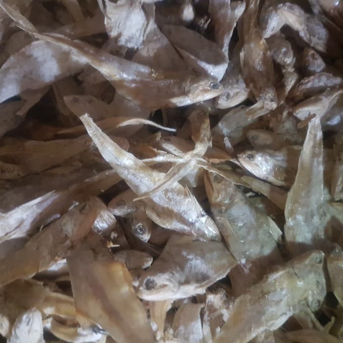 

Ikan Asin Bulu Ayam Medan/ Bagan 500 gram