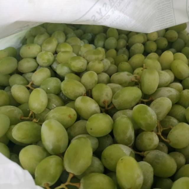 

Anggur greet green Australia