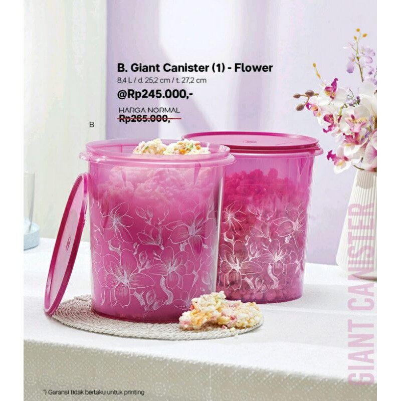 Tupperware Giant canister