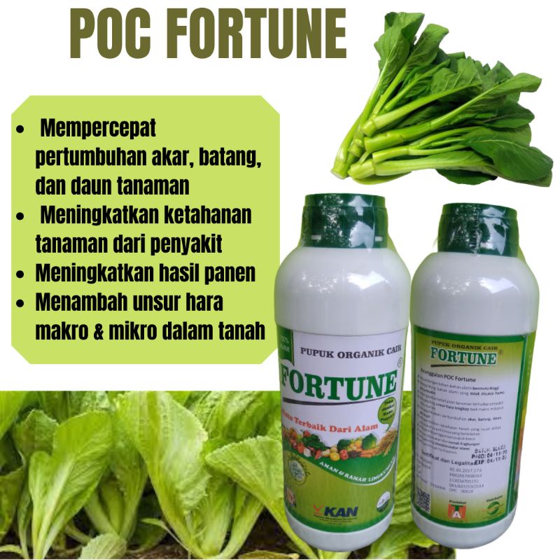 Jual Pupuk Untuk Mempercepat Pertumbuhan Akar Batang Dan Daun Sawi Pupuk Poc Fortune Liter