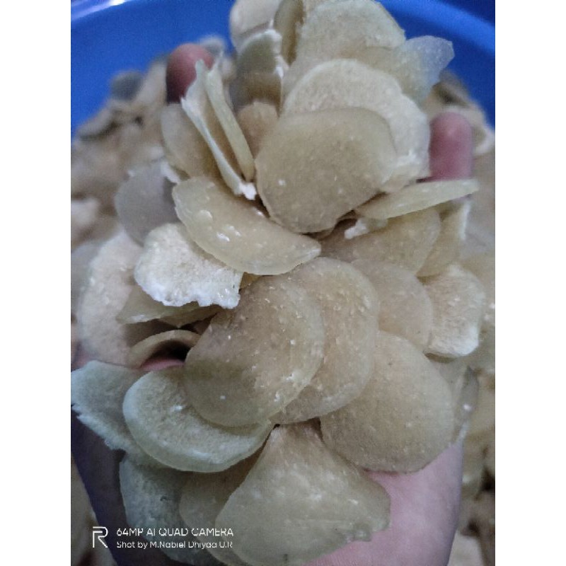 

Kerupuk Bumbu Bawang Putih 1kg